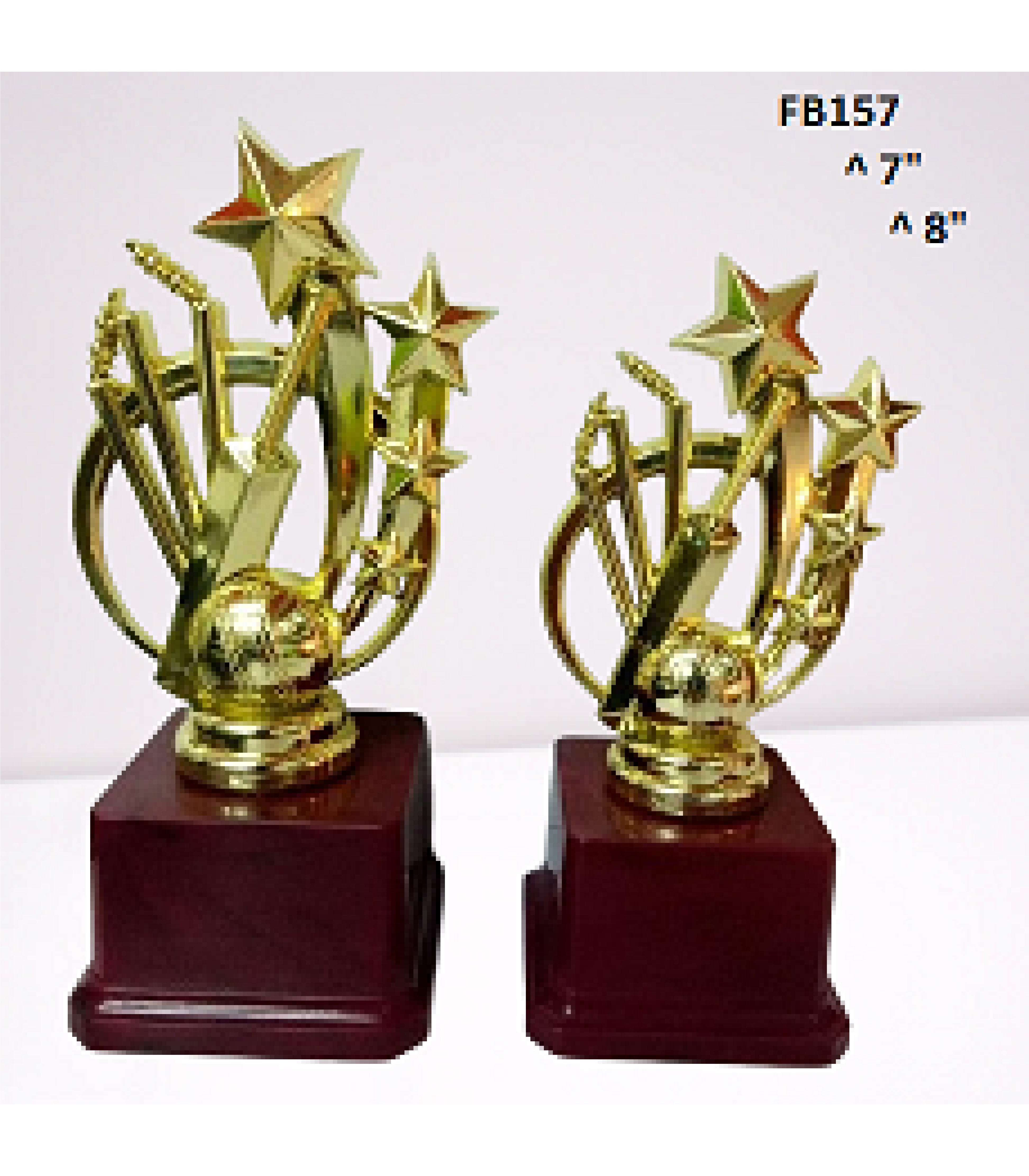 Fiber Trophy